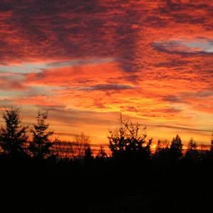 Meet your Posher, Lawn